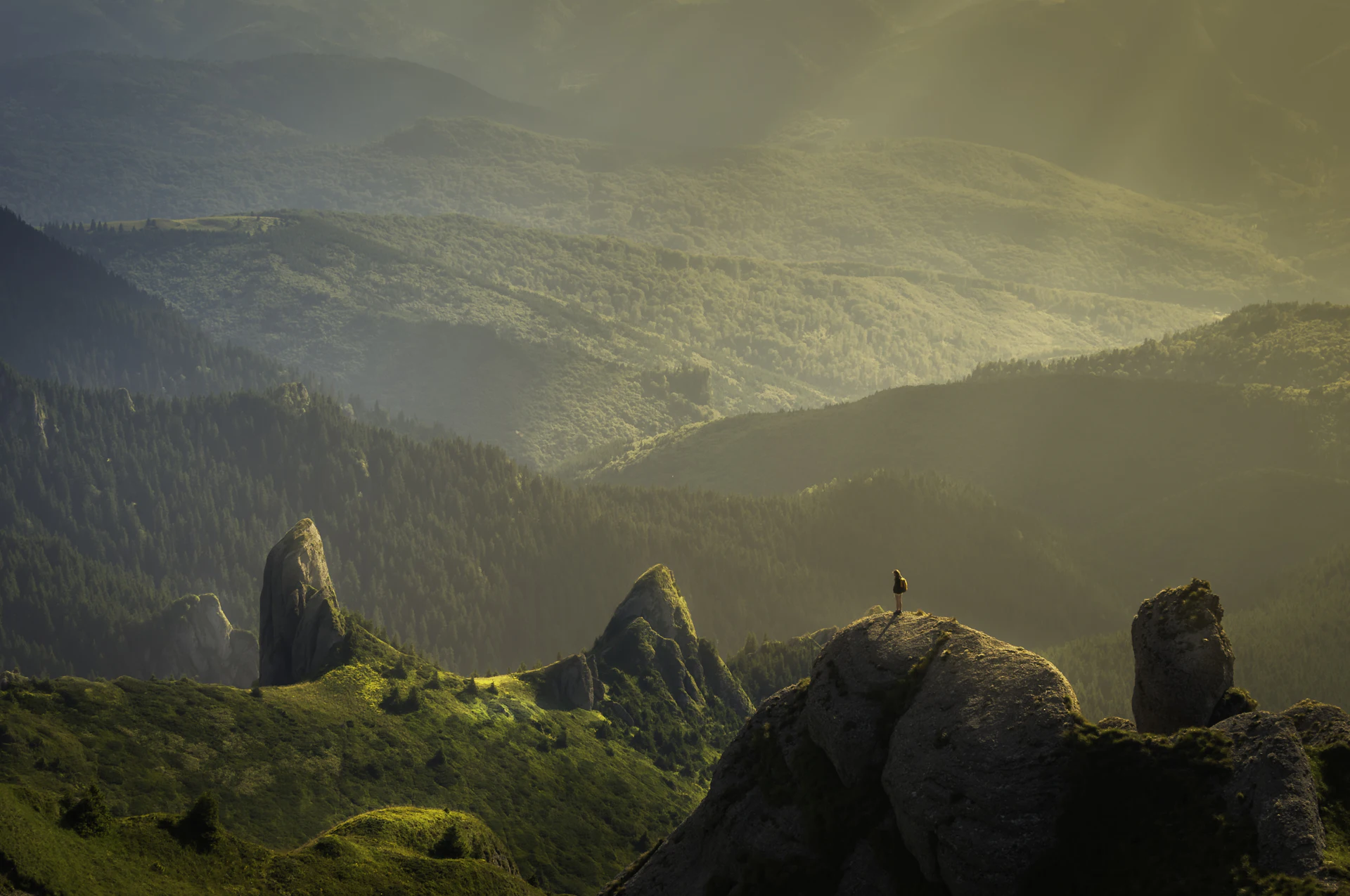 Paesaggio collinare al tramonto